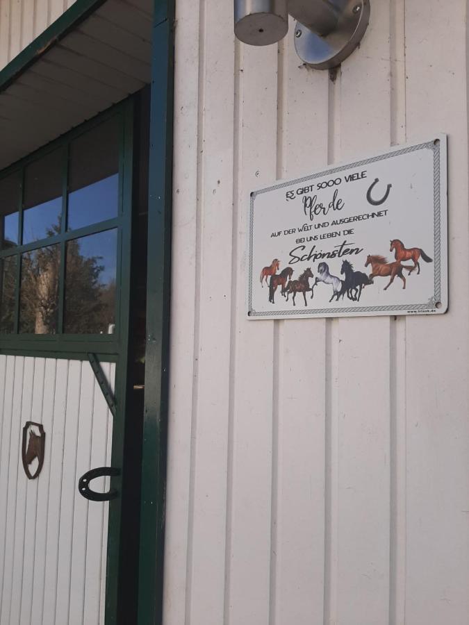 Apartamento Der Perfekte Ausgangspunkt Konigerode Exterior foto