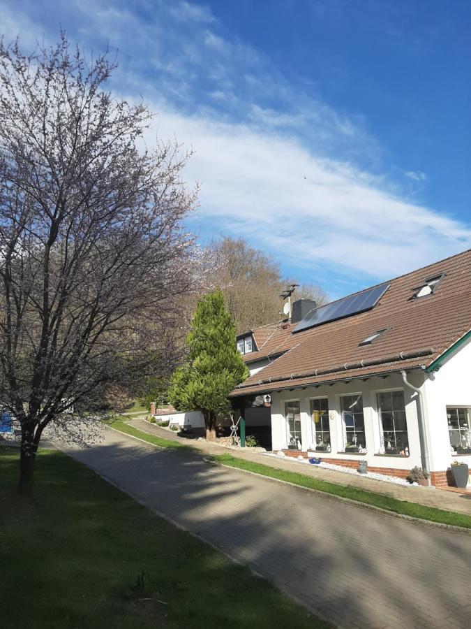 Apartamento Der Perfekte Ausgangspunkt Konigerode Exterior foto