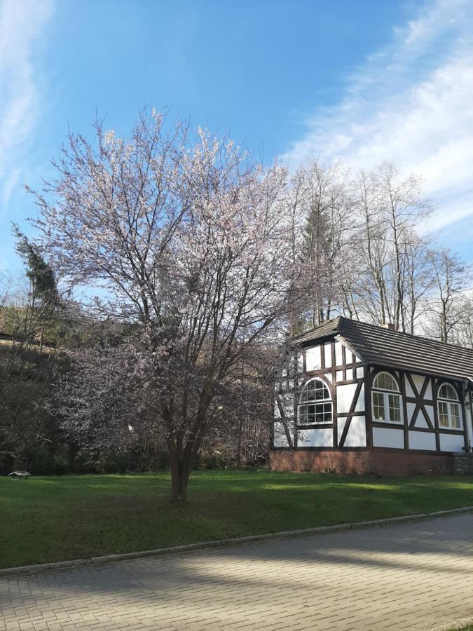 Apartamento Der Perfekte Ausgangspunkt Konigerode Exterior foto